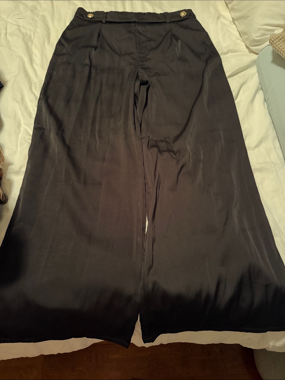 Alice Blue Black Wide-Leg Pants with Buttoned Waist